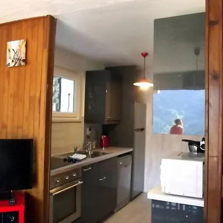 Apartment Cote Montagne Orcieres